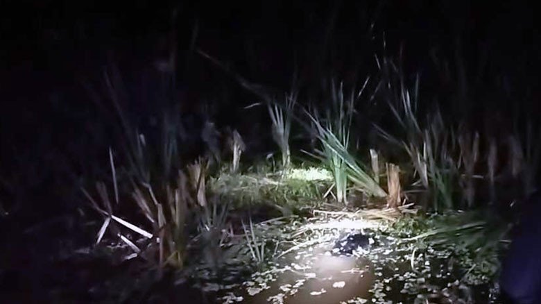 বরিশালে হোগলপাতা ক্ষেতে মিলল রক্তাক্ত বৃদ্ধের মরদেহ...